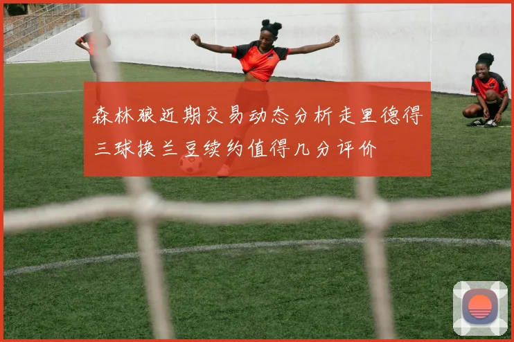 森林狼近期交易动态分析走里德得三球换兰豆续约值得几分评价